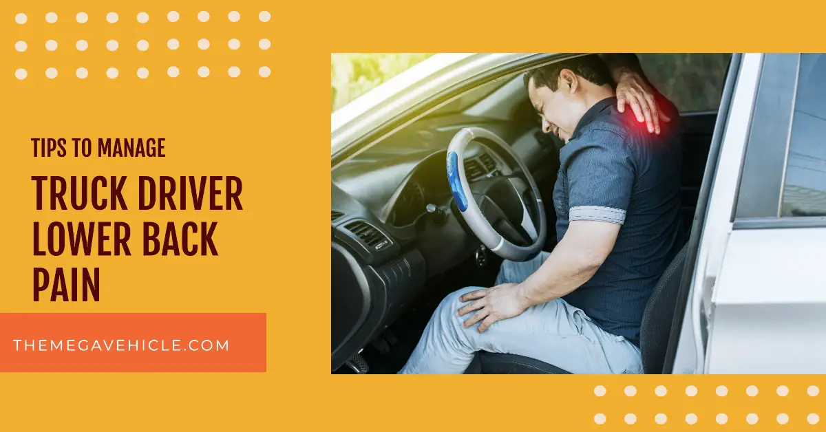 truck driver lower back pain