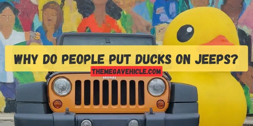 Why Do People Put Ducks On Jeeps