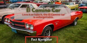 el camino car