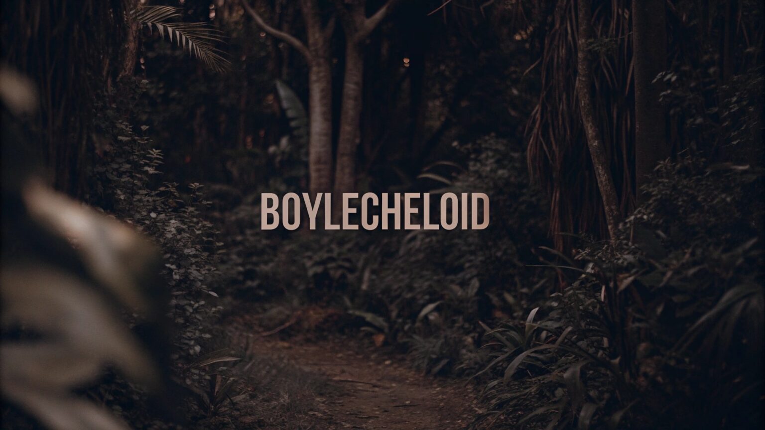 Boylecheloid