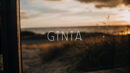 Giniä